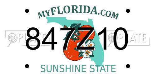 847Z10 Florida License Plate