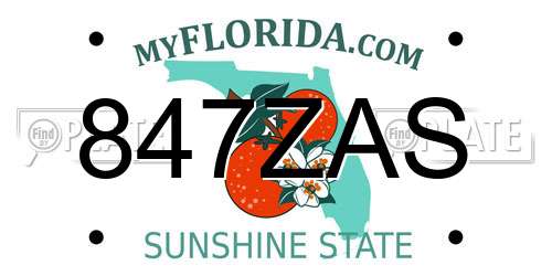 847ZAS Florida License Plate
