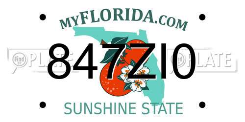 847ZI0 Florida License Plate