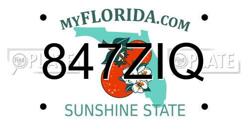 847ZIQ Florida License Plate