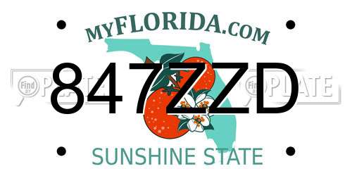 847ZZD Florida License Plate