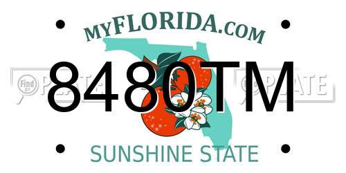 8480TM Florida License Plate