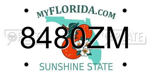 8480ZM Florida License Plate