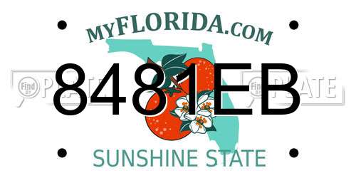 8481EB Florida License Plate