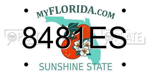 8481ES Florida License Plate