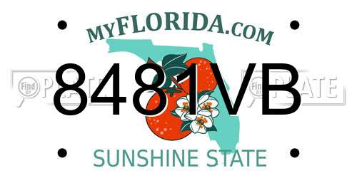 8481VB Florida License Plate