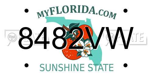 8482VW Florida License Plate
