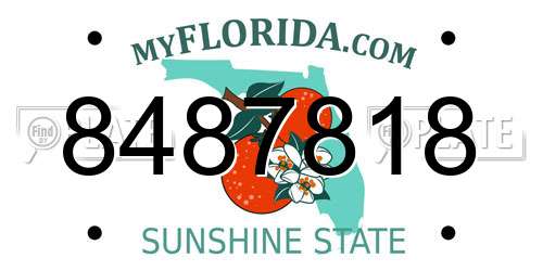 8487818 Florida License Plate