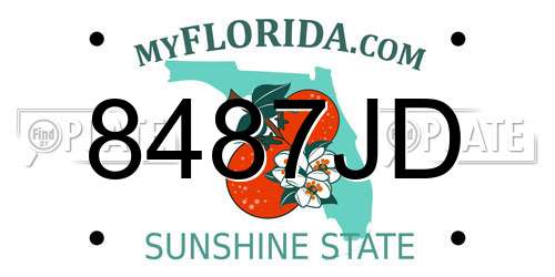 8487JD Florida License Plate