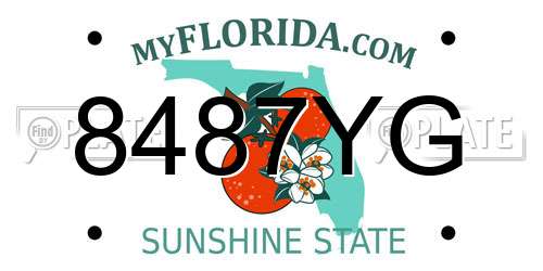 8487YG Florida License Plate