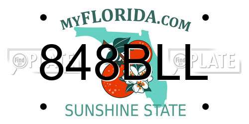 848BLL Florida License Plate