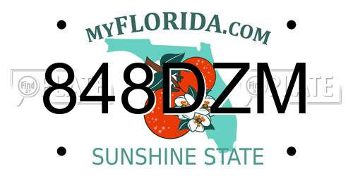 848DZM Florida License Plate