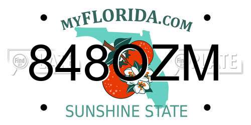 848OZM Florida License Plate