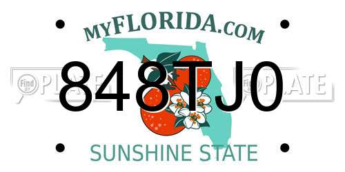 848TJ0 Florida License Plate