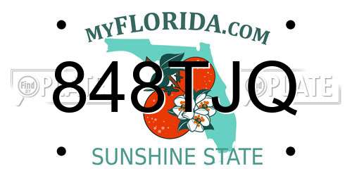 848TJQ Florida License Plate