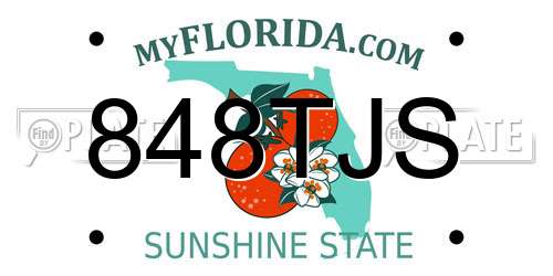 848TJS Florida License Plate