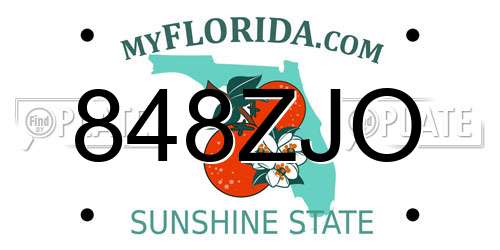 848ZJO Florida License Plate
