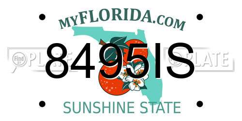 8495IS Florida License Plate