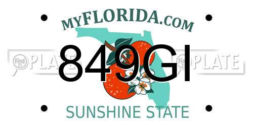 849GI Florida License Plate