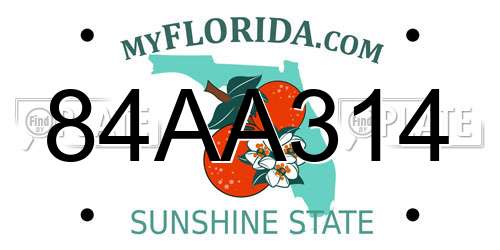84AA314 Florida License Plate