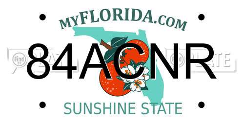 84ACNR Florida License Plate