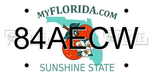 84AECW Florida License Plate