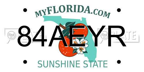 84AEYR Florida License Plate