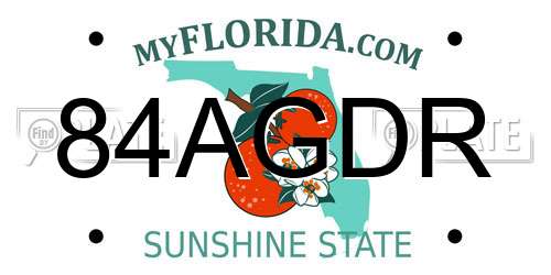 84AGDR Florida License Plate
