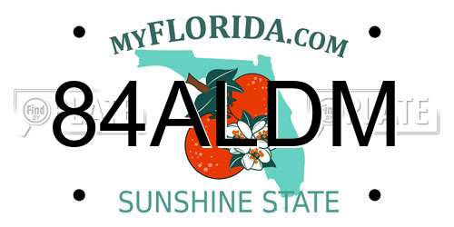 84ALDM Florida License Plate