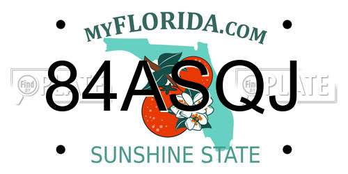 84ASQJ Florida License Plate