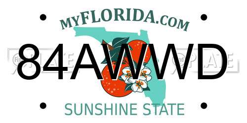 84AWWD Florida License Plate