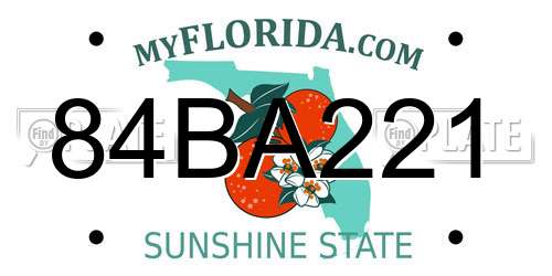 84BA221 Florida License Plate