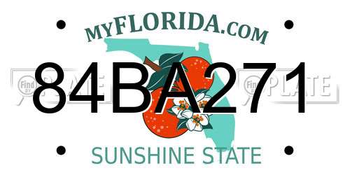84BA271 Florida License Plate