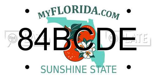 84BCDE Florida License Plate