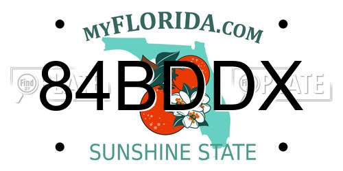 84BDDX Florida License Plate