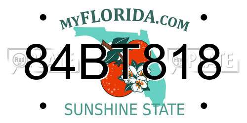 84BT818 Florida License Plate