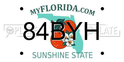84BYH Florida License Plate