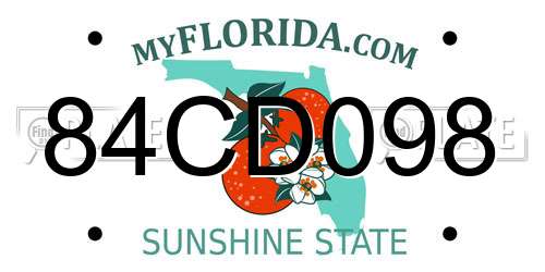 84CD098 Florida License Plate