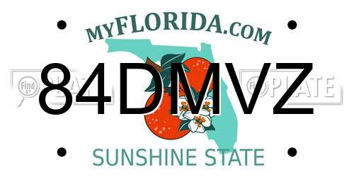 84DMVZ Florida License Plate