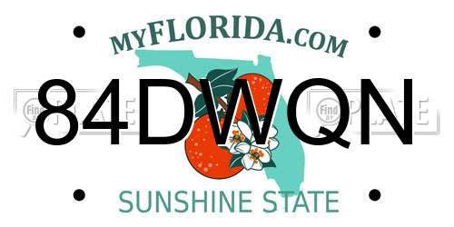84DWQN Florida License Plate