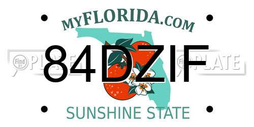 84DZIF Florida License Plate