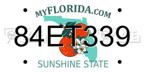 84ET339 Florida License Plate