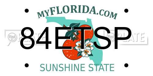 84ETSP Florida License Plate