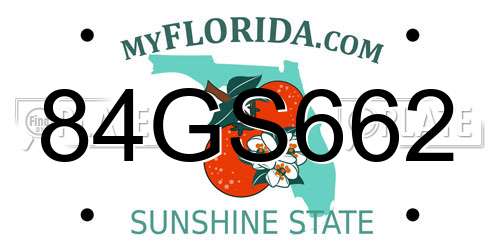84GS662 Florida License Plate