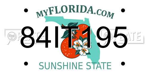 84IT195 Florida License Plate