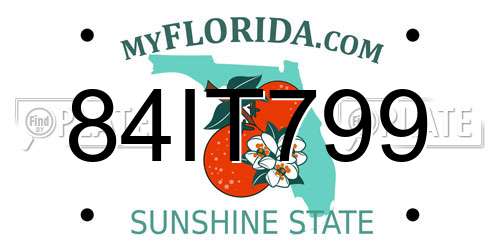 84IT799 Florida License Plate