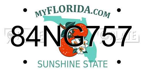 84NG757 Florida License Plate