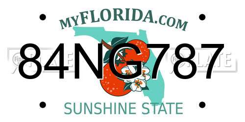 84NG787 Florida License Plate