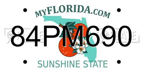 84PM690 Florida License Plate
