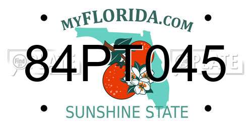 84PT045 Florida License Plate